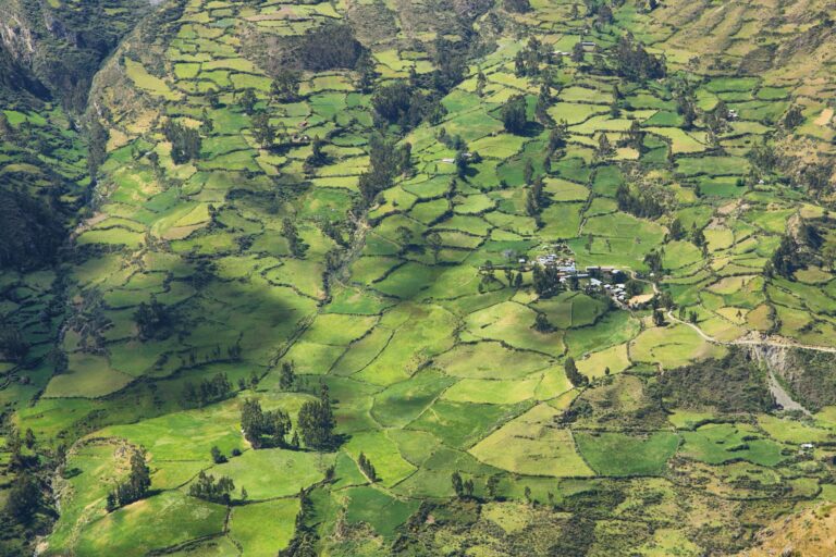 View of fields in the way to Huanuco, Peru